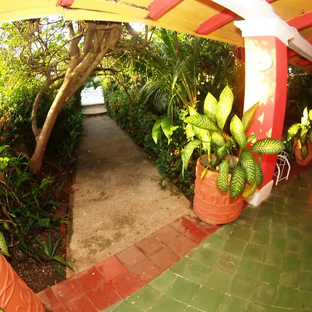 Hotel Flamingos-3